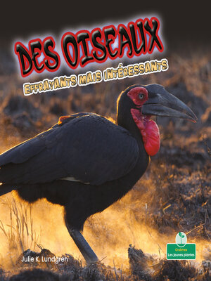 cover image of Des oiseaux effrayants mais intéressants (Creepy But Cool Birds)